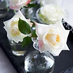 فيلينو 5* لينداو